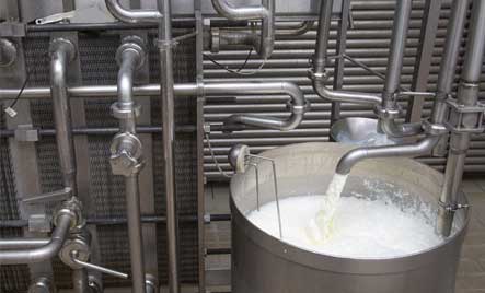 Dairy / Processing